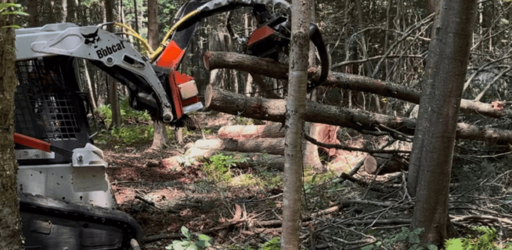 Skid steer with a grapple moving logs during land clearing