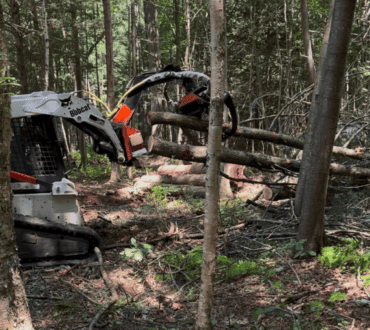 Skid steer with a grapple moving logs during land clearing