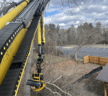 Yellow crane boom on the PV Tree Service crane truck