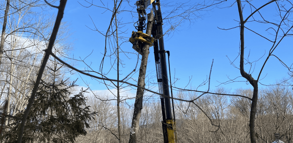 Crane truck boom raised into bare trees during a tree removal